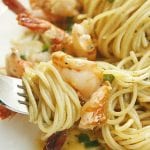 shrimp alfredo