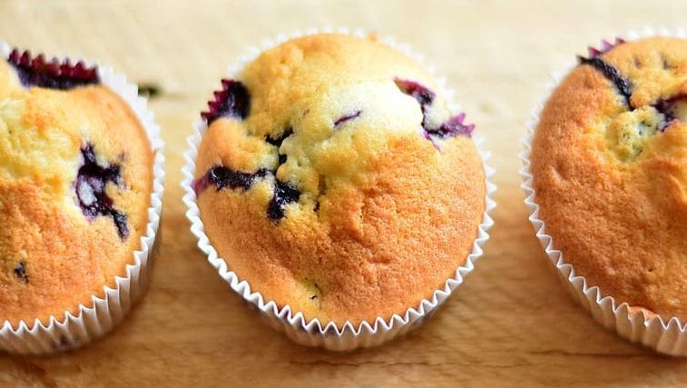 delicious blueberry muffin