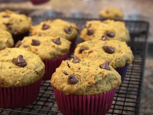 Mini Pumpkin Chocolate Chip Muffins Recipe