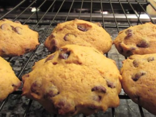 Pumpkin Chocolate Chip Cookies Recipe