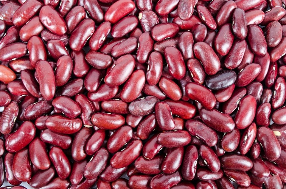 simple instant pot kidney beans