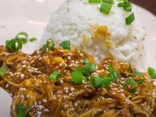 Slow Cooker Teriyaki Chicken With Honey Recipe