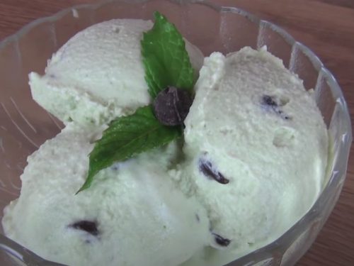 Vegan Mint Chocolate Chip Ice Cream Recipe