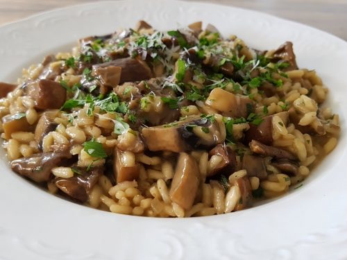 Goose and Mushroom Risotto