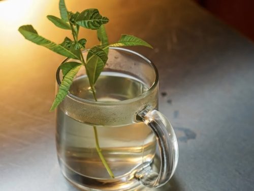 Lemon-Verbena-Tea-Recipe