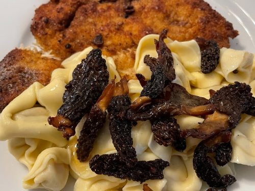 Sautéed Morel Mushrooms Recipe