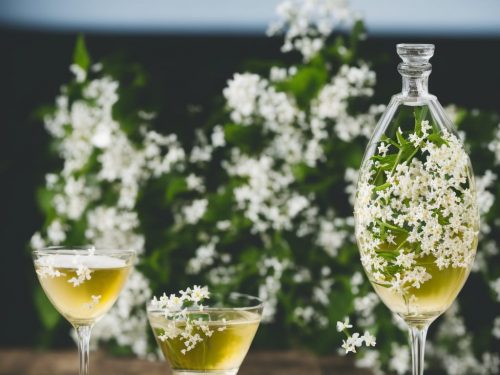 Easy Elderflower Liqueur