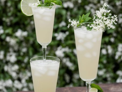 Elderflower Gin Fizz Recipe