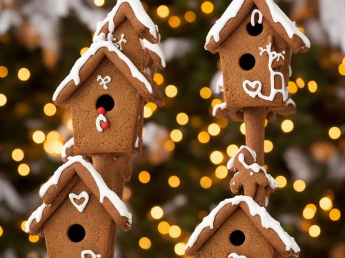 Gingerbread Birdhouse