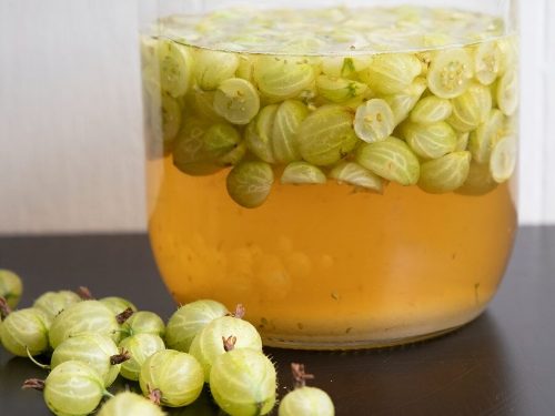 Gooseberry gin recipe