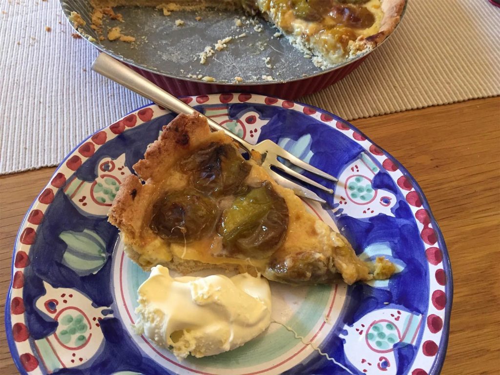 Greengage & Vanilla Tart