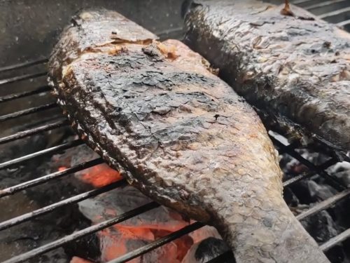 Grilled Tilapia Recipe