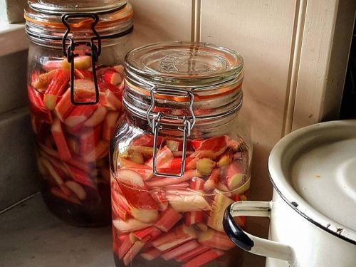 Rhubarb Gin