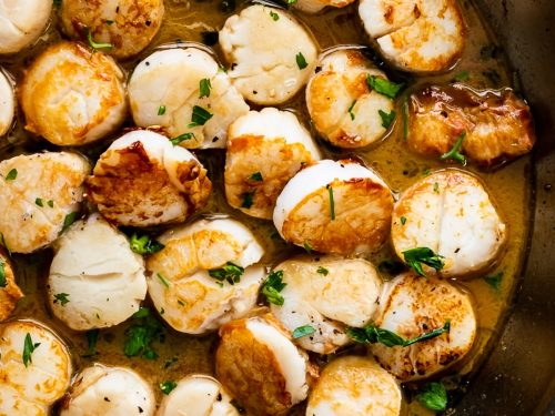 Scallops with Mushrooms & White Wine