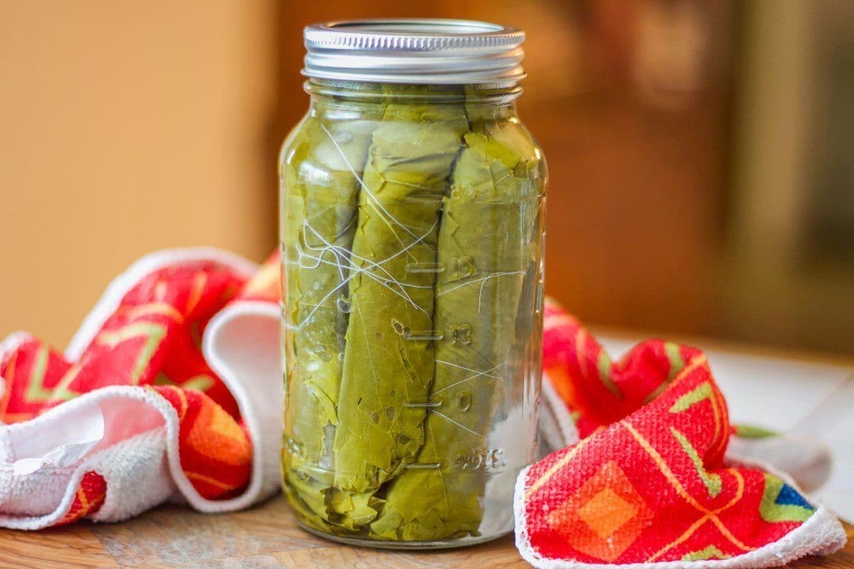 how-to-brine-grape-leaves