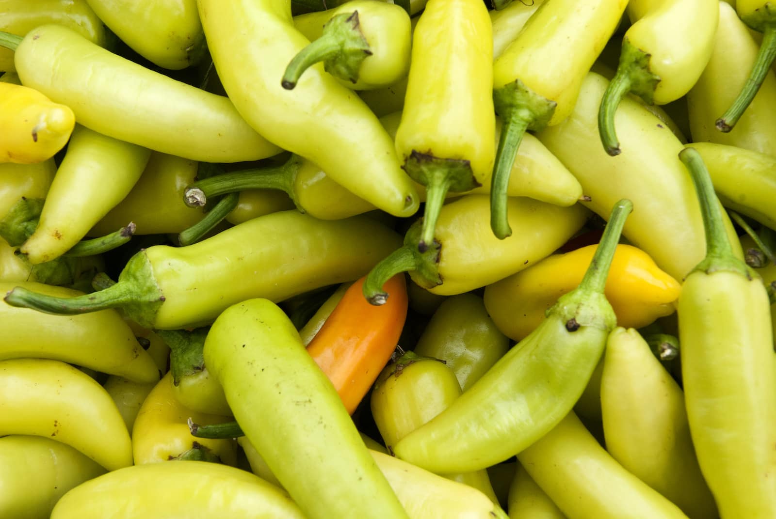 how-to-dehydrate-banana-peppers