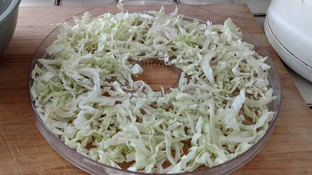 how-to-dehydrate-cabbage-in-a-food-dehydrator