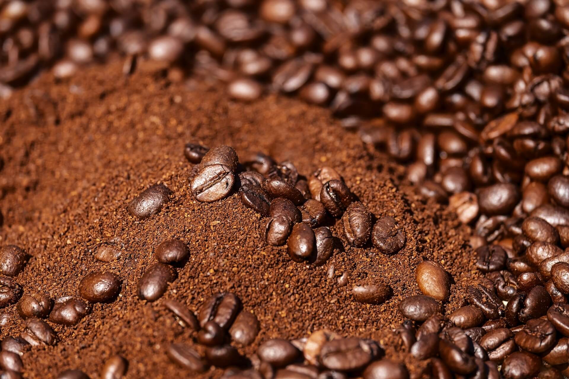 how-to-dehydrate-coffee