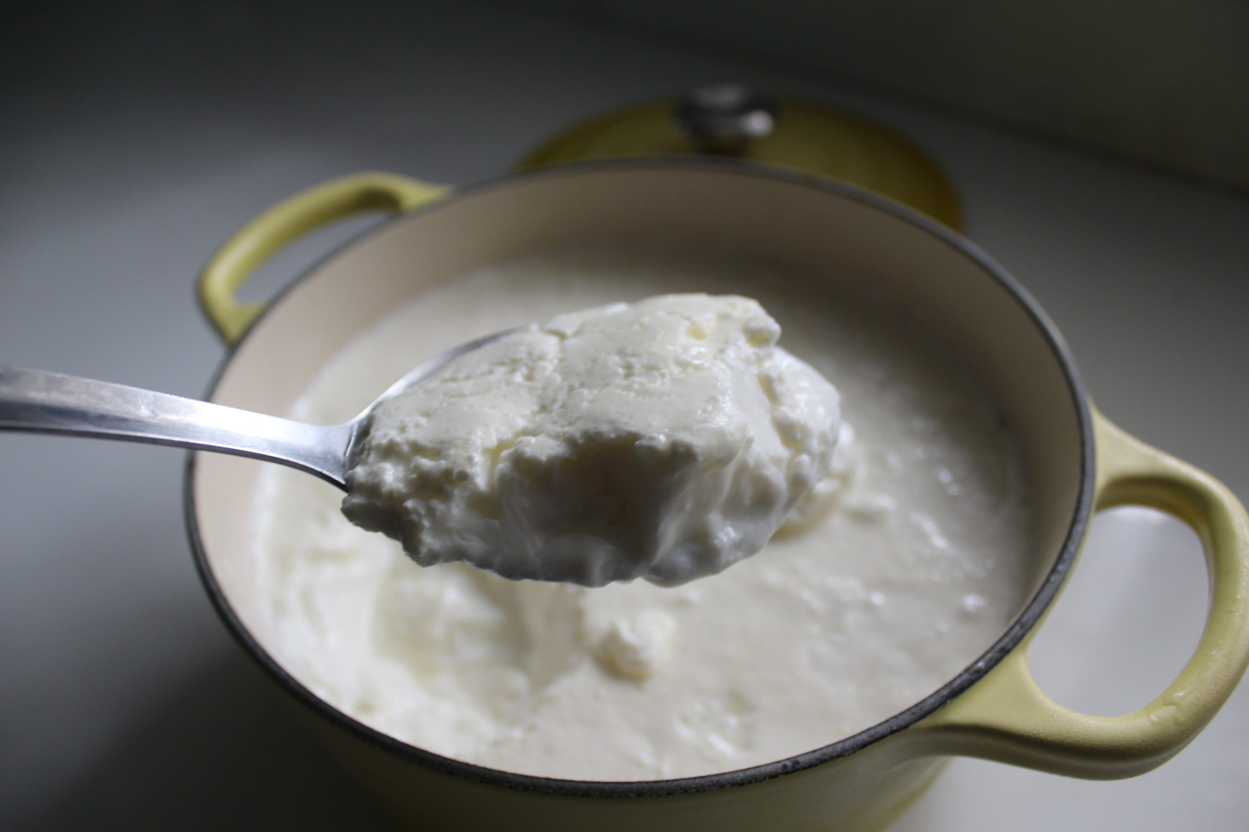 how-to-dehydrate-yogurt