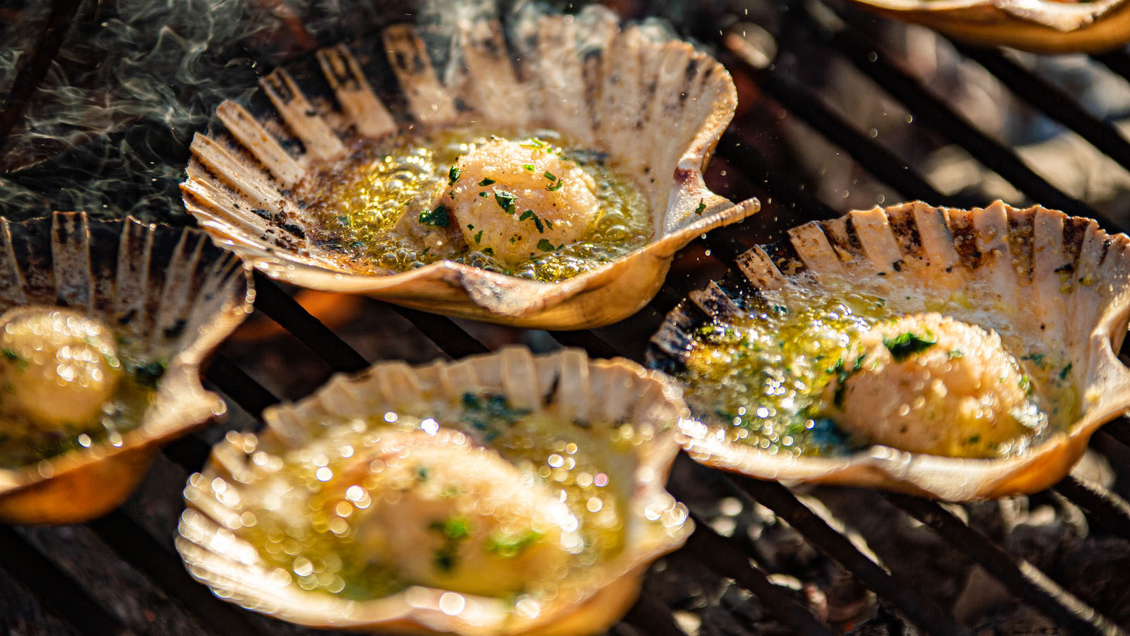 how-to-smoke-scallops