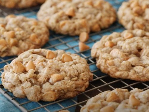 cinnamon-spiced oatmeal scotchies recipe