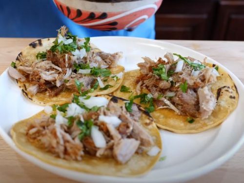 instant pot carnitas recipe