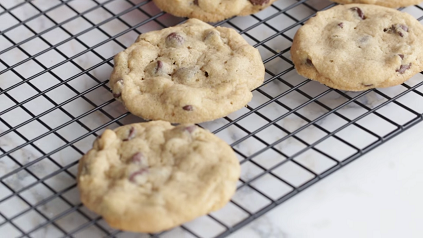 baby chocolate chip cookies recipe