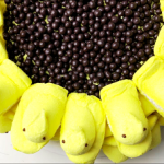 sunflower peep cake recipe