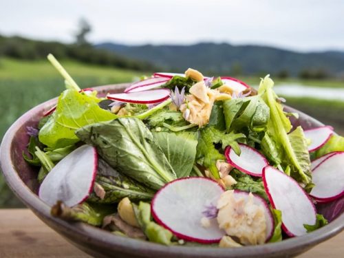 smoked-trout salad with goat-cheese croûtes recipe