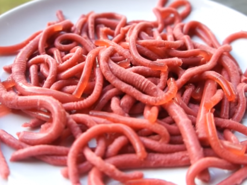 jell-o worms spooky halloween treat recipe