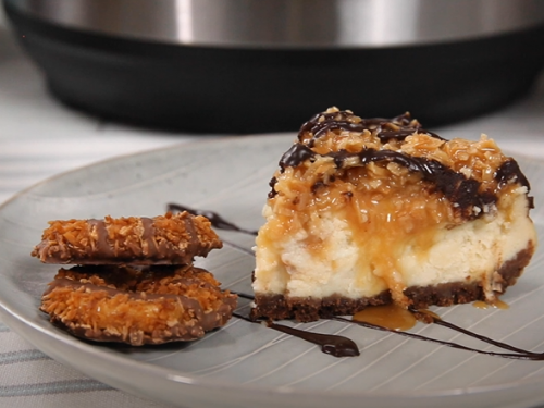 no bake samoa cheesecakes recipe