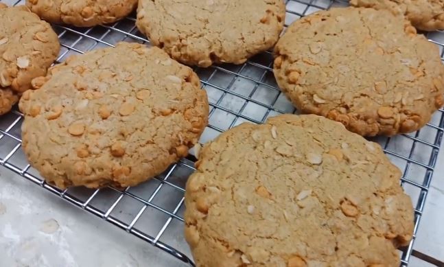 honey roasted peanut butter oatmeal scotchies recipe