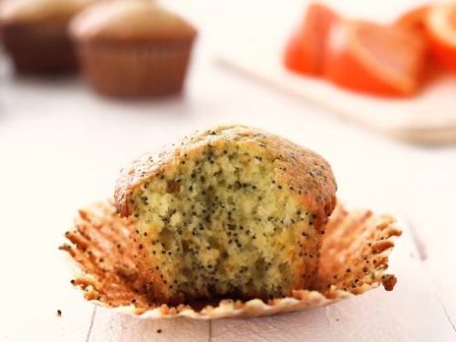 orange lemon poppy seed muffins recipe