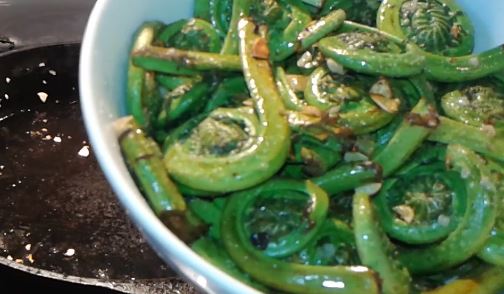 fiddlehead dip recipe