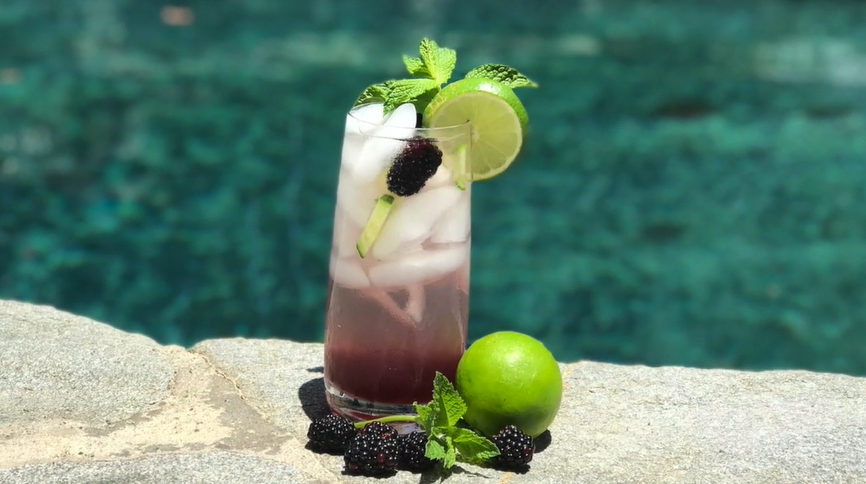 blackberry cucumber vodka tonic recipe