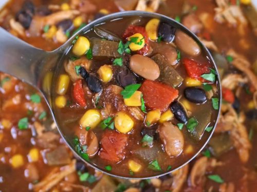 slow cooker enchilada quinoa chicken soup recipe